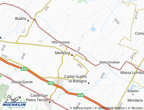 MICHELIN Medicina map - ViaMichelin