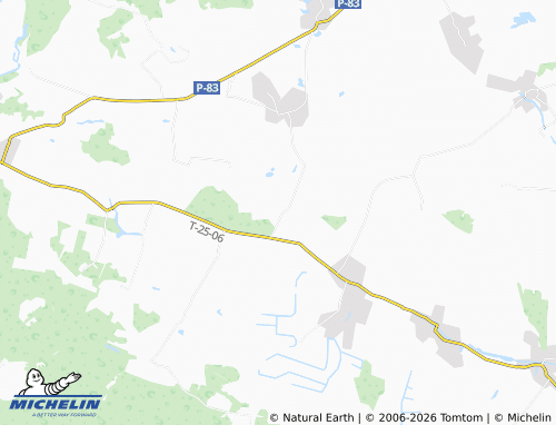 Mappa MICHELIN Pushkine - ViaMichelin