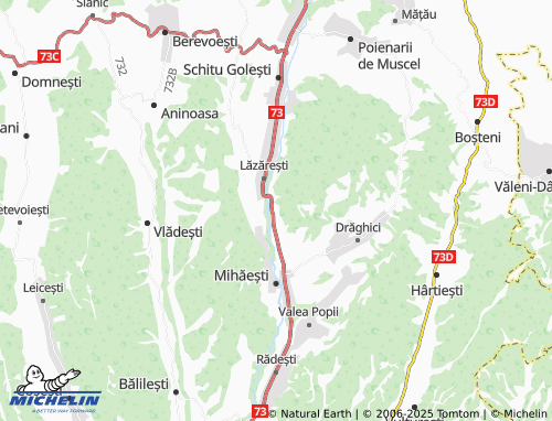 MICHELIN Furnicoși map - ViaMichelin