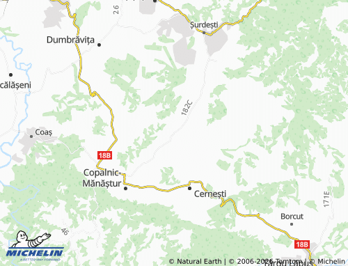 Mappa MICHELIN Lăschia - ViaMichelin
