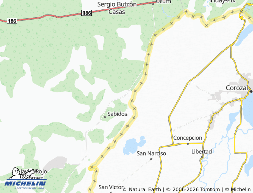 MICHELIN Allende map - ViaMichelin