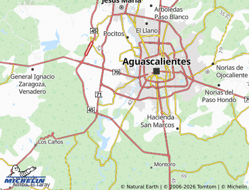 Mapa MICHELIN Don Manuel Gómez Morín - ViaMichelin