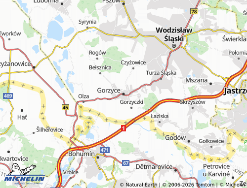 MICHELIN Gorzyce map - ViaMichelin