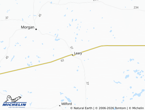 Mappa MICHELIN Leary - ViaMichelin