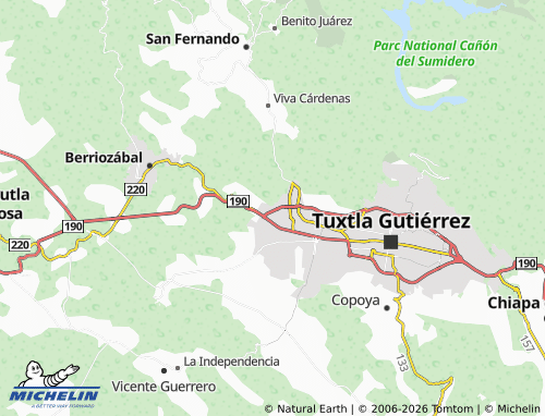 Mapa MICHELIN San Agustín, Plan de Ayala - ViaMichelin