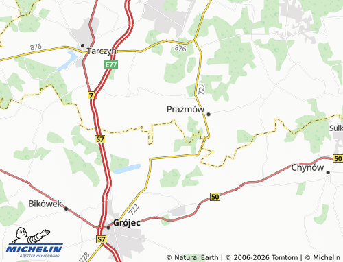 Carte MICHELIN Mirowice - ViaMichelin