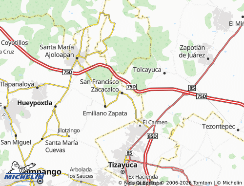 Mapa MICHELIN San Francisco Zacacalco - ViaMichelin