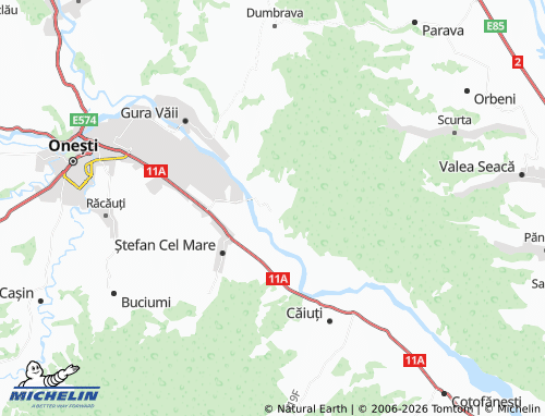 Carte MICHELIN Viișoara - ViaMichelin