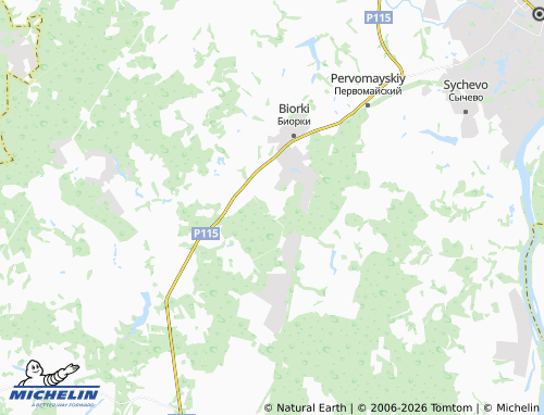 Carte MICHELIN Gorodki - ViaMichelin