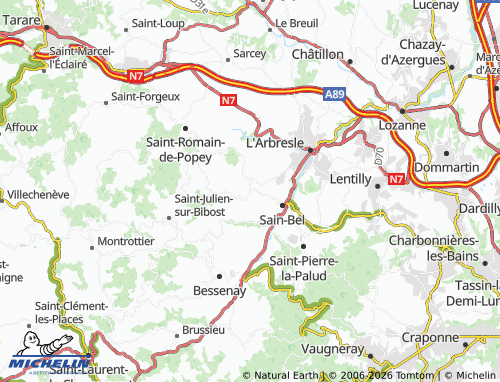 MICHELIN Savigny map - ViaMichelin