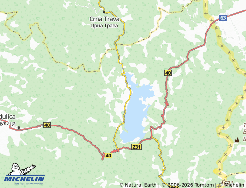 Mapa MICHELIN Vlasina Rid - ViaMichelin