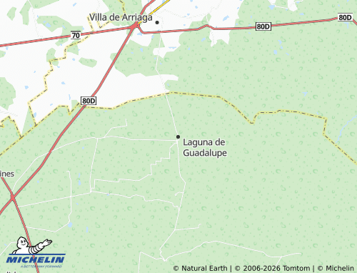 Mappa MICHELIN Laguna de Guadalupe - ViaMichelin