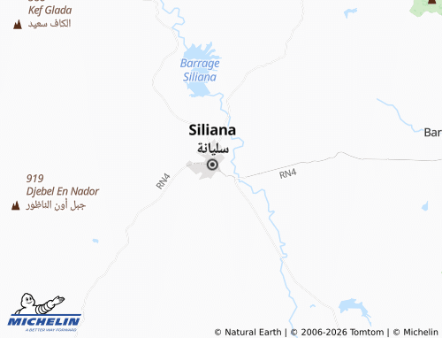 Carte MICHELIN Siliana Sud - ViaMichelin