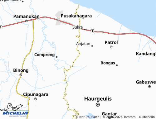 MICHELIN Cilandak map - ViaMichelin