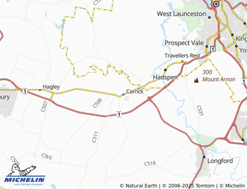 MICHELIN Carrick map - ViaMichelin