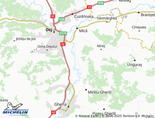 MICHELIN Salatiu map - ViaMichelin