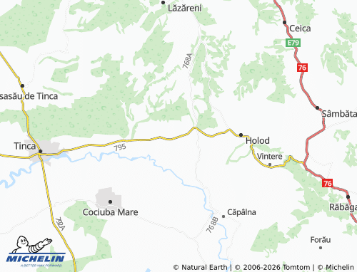 MICHELIN Dumbrava map - ViaMichelin