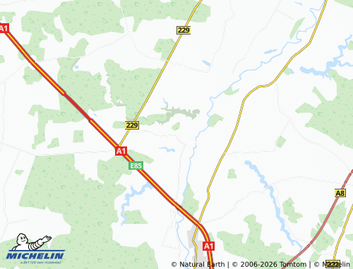 MICHELIN Lazdynė map - ViaMichelin