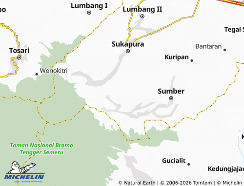 Mapa MICHELIN Wonokerso - ViaMichelin