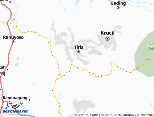 MICHELIN Andungsari map - ViaMichelin