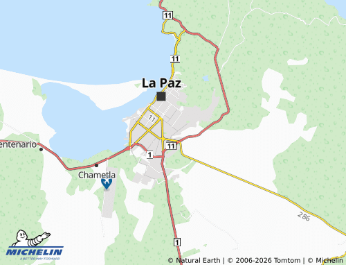 Mapa MICHELIN Flores Magón - ViaMichelin