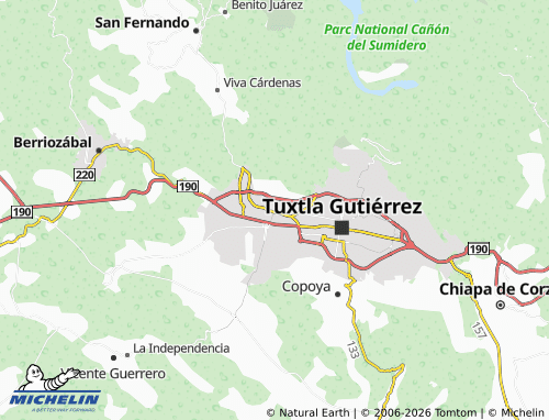 MICHELIN Buenavista map - ViaMichelin