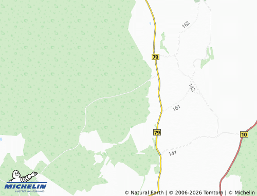 MICHELIN Nava map - ViaMichelin