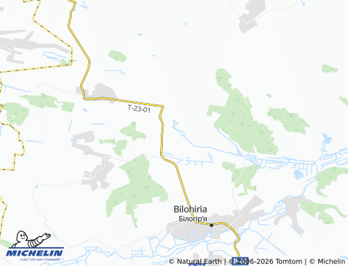 MICHELIN Velyki Kaletyntsi map - ViaMichelin