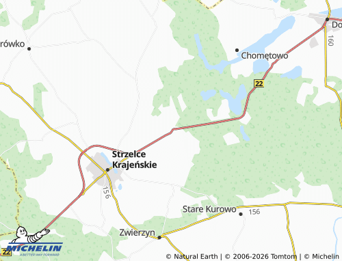 MICHELIN-Landkarte Licheń - ViaMichelin