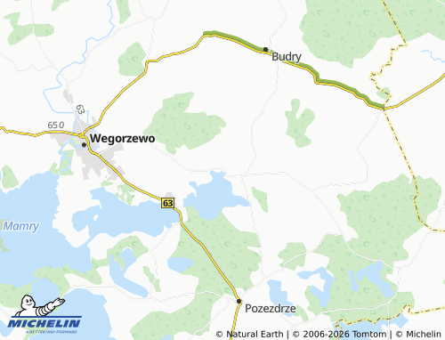 MICHELIN Stręgiel map - ViaMichelin