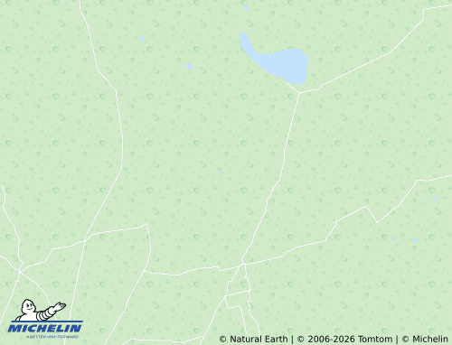 Mappa MICHELIN Vicente Guerrero - ViaMichelin
