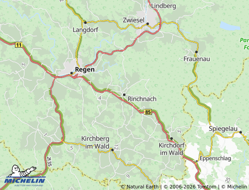 Mappa MICHELIN Rinchnach - ViaMichelin