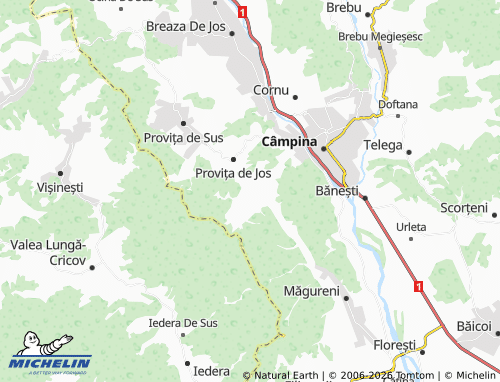 Mapa MICHELIN Drăgăneasa - ViaMichelin