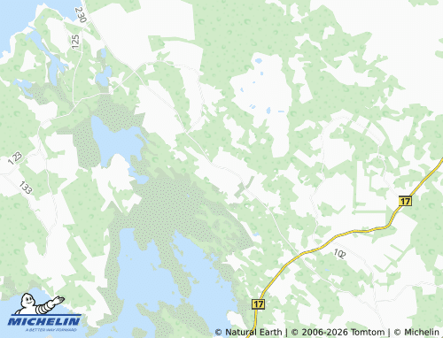 Carte MICHELIN Ingküla - ViaMichelin