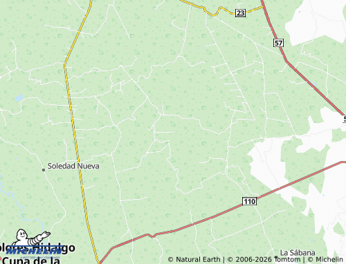 MICHELIN Tampico map - ViaMichelin
