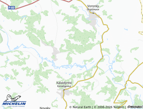 MICHELIN Lisova Slobidka map - ViaMichelin