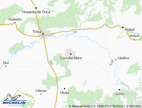 MICHELIN Cociuba Mare map - ViaMichelin