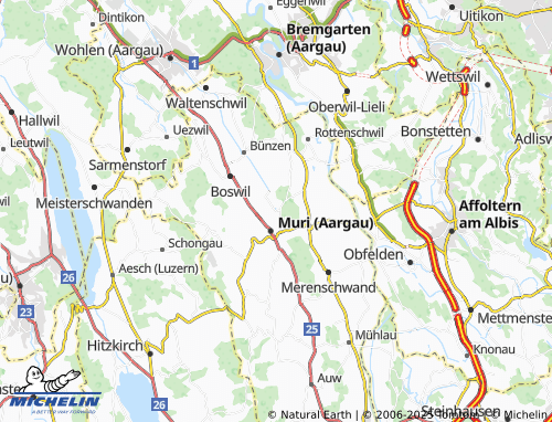 MICHELIN-Landkarte Hasli - ViaMichelin