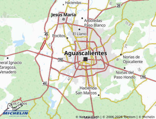 MICHELIN San Marcos map - ViaMichelin