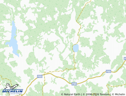 Carte MICHELIN Sosnovitsa - ViaMichelin