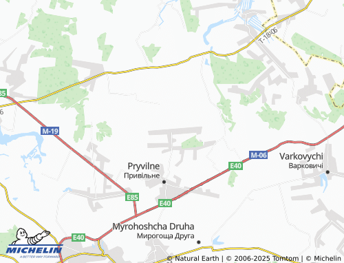 MICHELIN Chereshnivka map - ViaMichelin