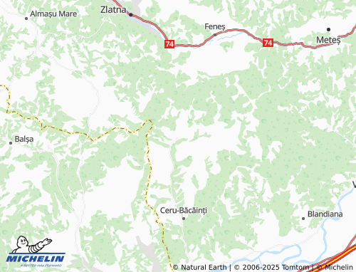 MICHELIN Fântânele map - ViaMichelin