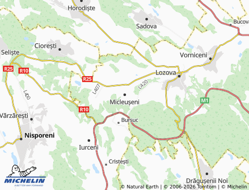 MICHELIN Micleușeni map - ViaMichelin