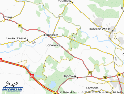 MICHELIN Borkowice map - ViaMichelin