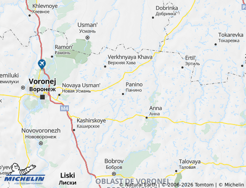 Carte MICHELIN Paninskiy rayon - ViaMichelin