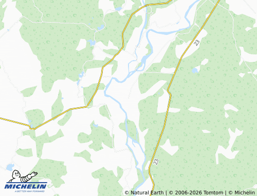 MICHELIN Las Estacas map - ViaMichelin