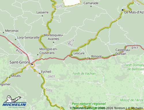 Kaart MICHELIN Lescure - ViaMichelin