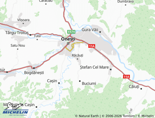 Mappa MICHELIN Răcăuți - ViaMichelin