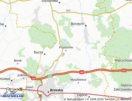 Mapa MICHELIN Przyborów - ViaMichelin