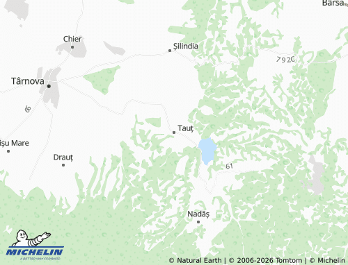 Mappa MICHELIN Tauț - ViaMichelin